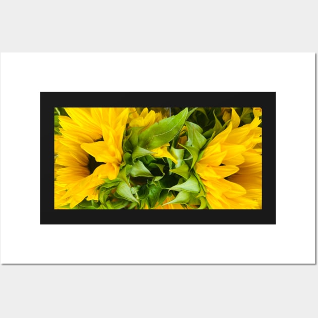 Sunflowers for Peace Wall Art by Photomersion